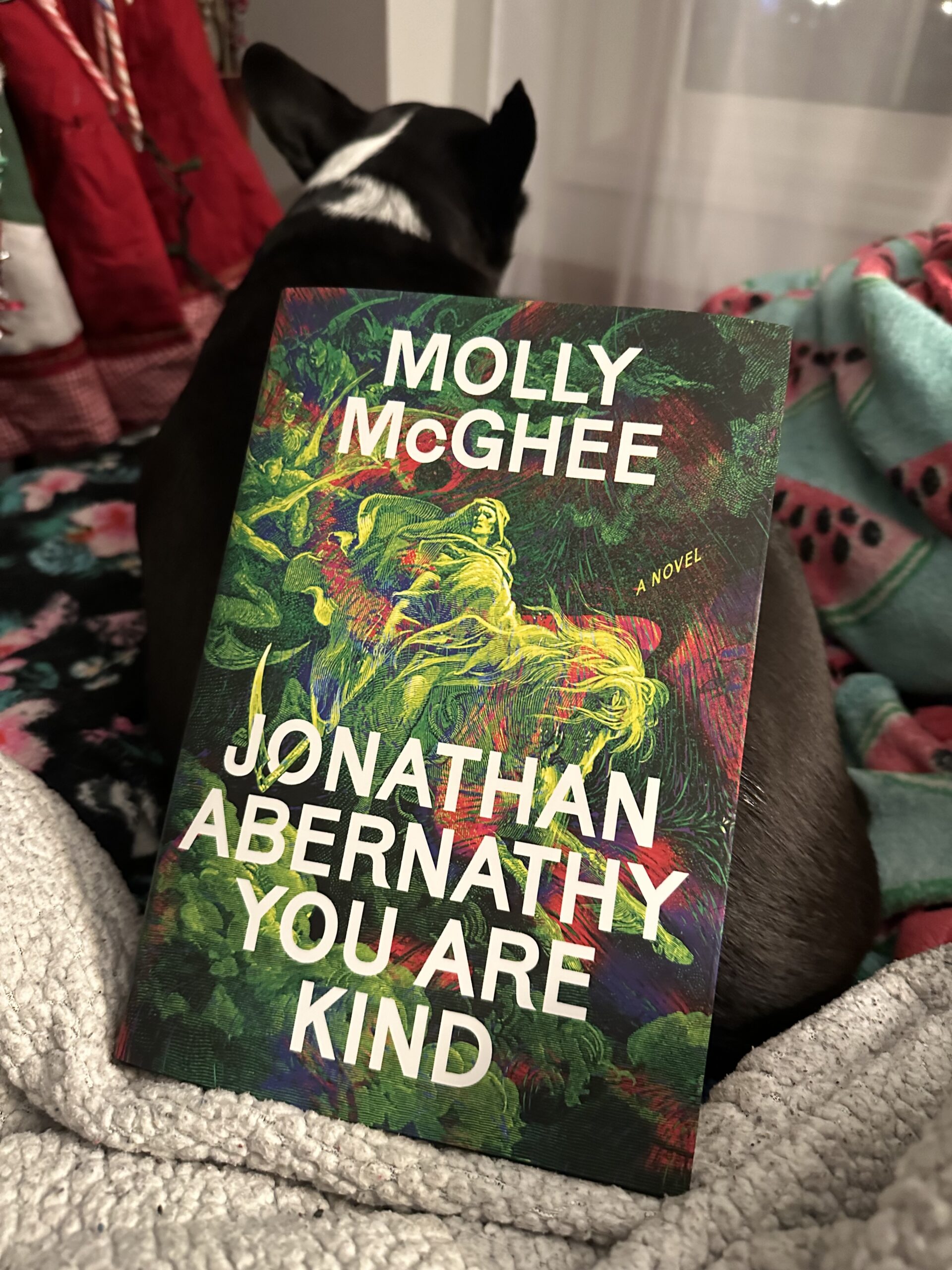 Jonathan Abernathy You Are Kind by Molly McGhee