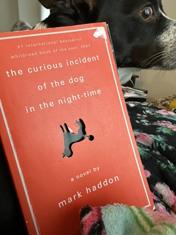 The Curious Incident of the Dog in the Night Time by Mark Haddon