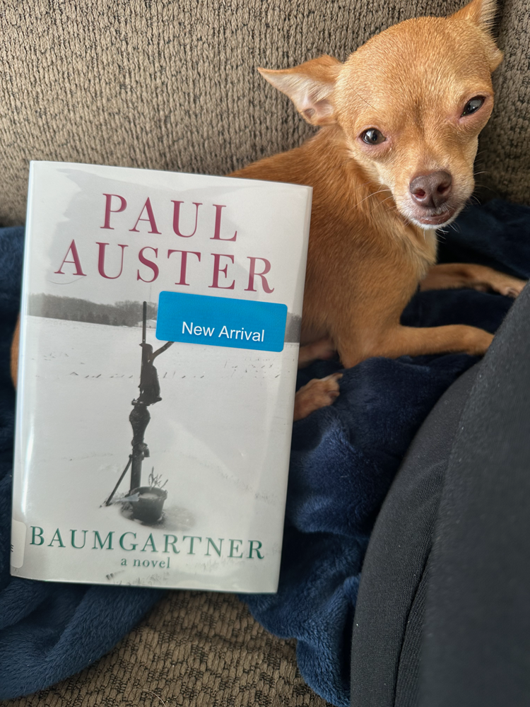 Baumgartner by Paul Auster