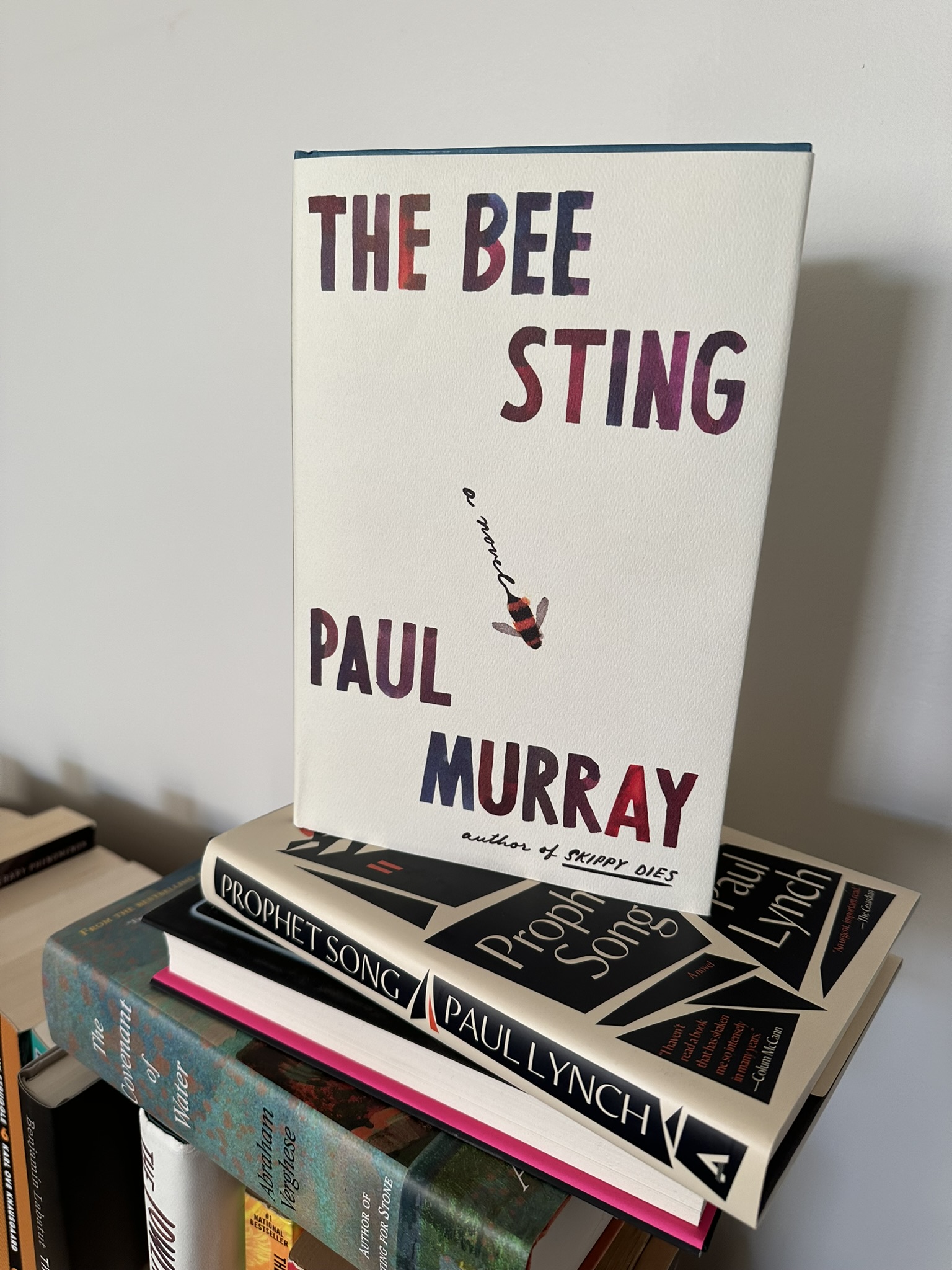 The Bee Sting by Paul Murray